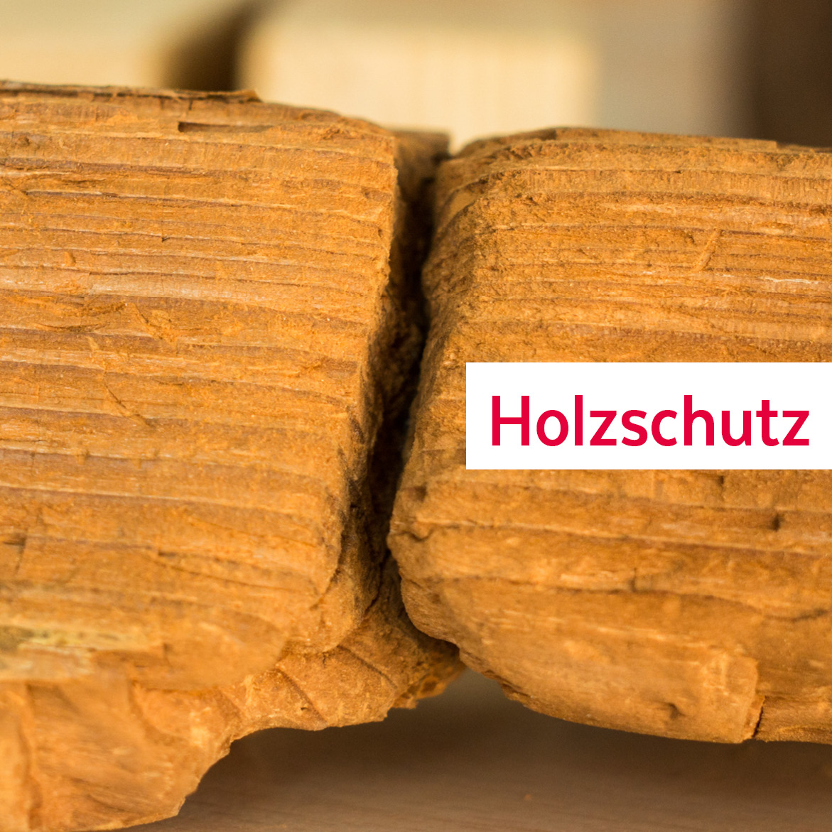 EIPOS SVT Holzschutz